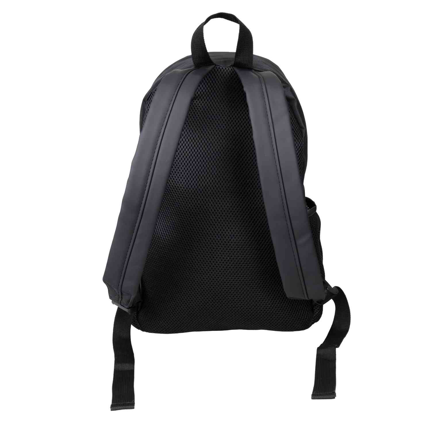 Salveque Everlast Riley Negro